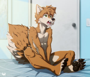 4527676_eldiman_doggo-sentado2.jpg