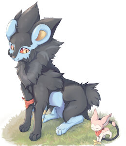 Luxray & Skitty