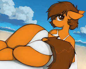 Swimsuit Venus