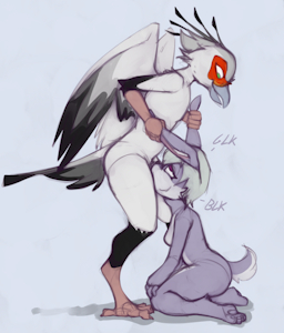Bird Deepthroat