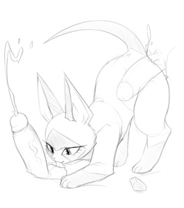 Jojolands cat