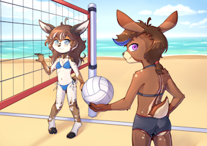 Beach volleyball challenge