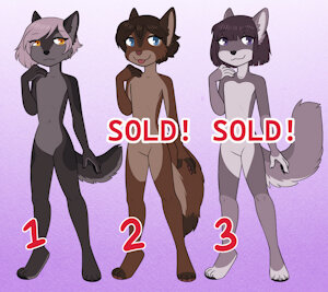 Wolf Adopts! [#1 Available!]