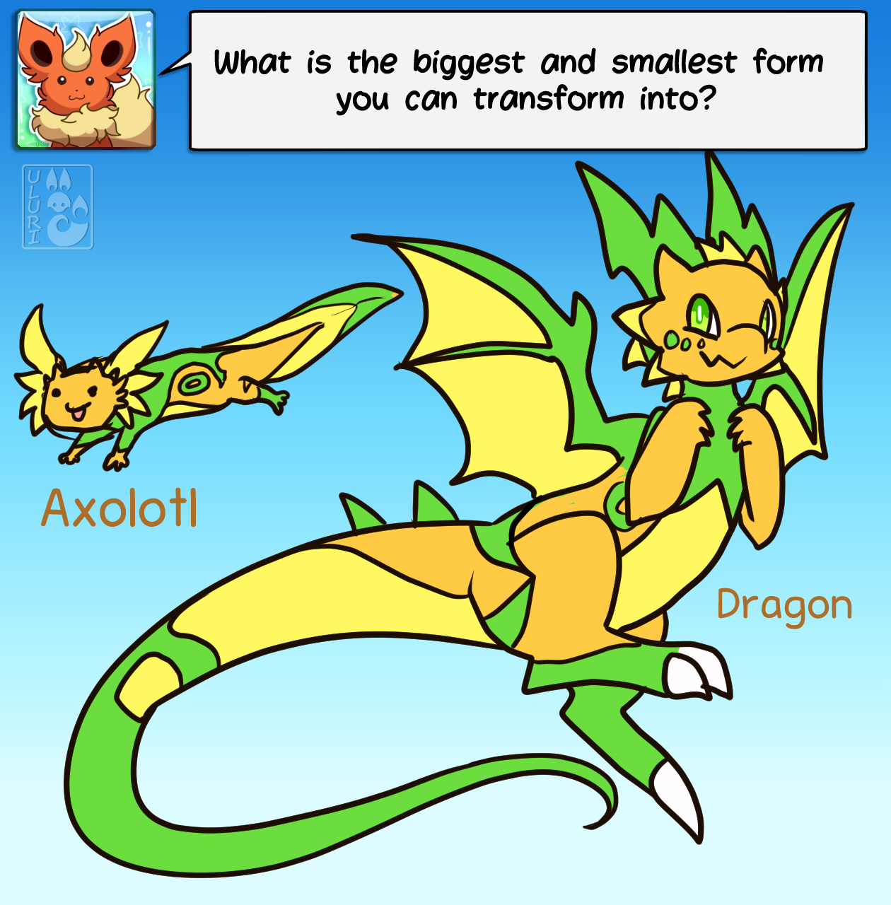 4562229_Uluri_qna_bigest_and_smallest.png