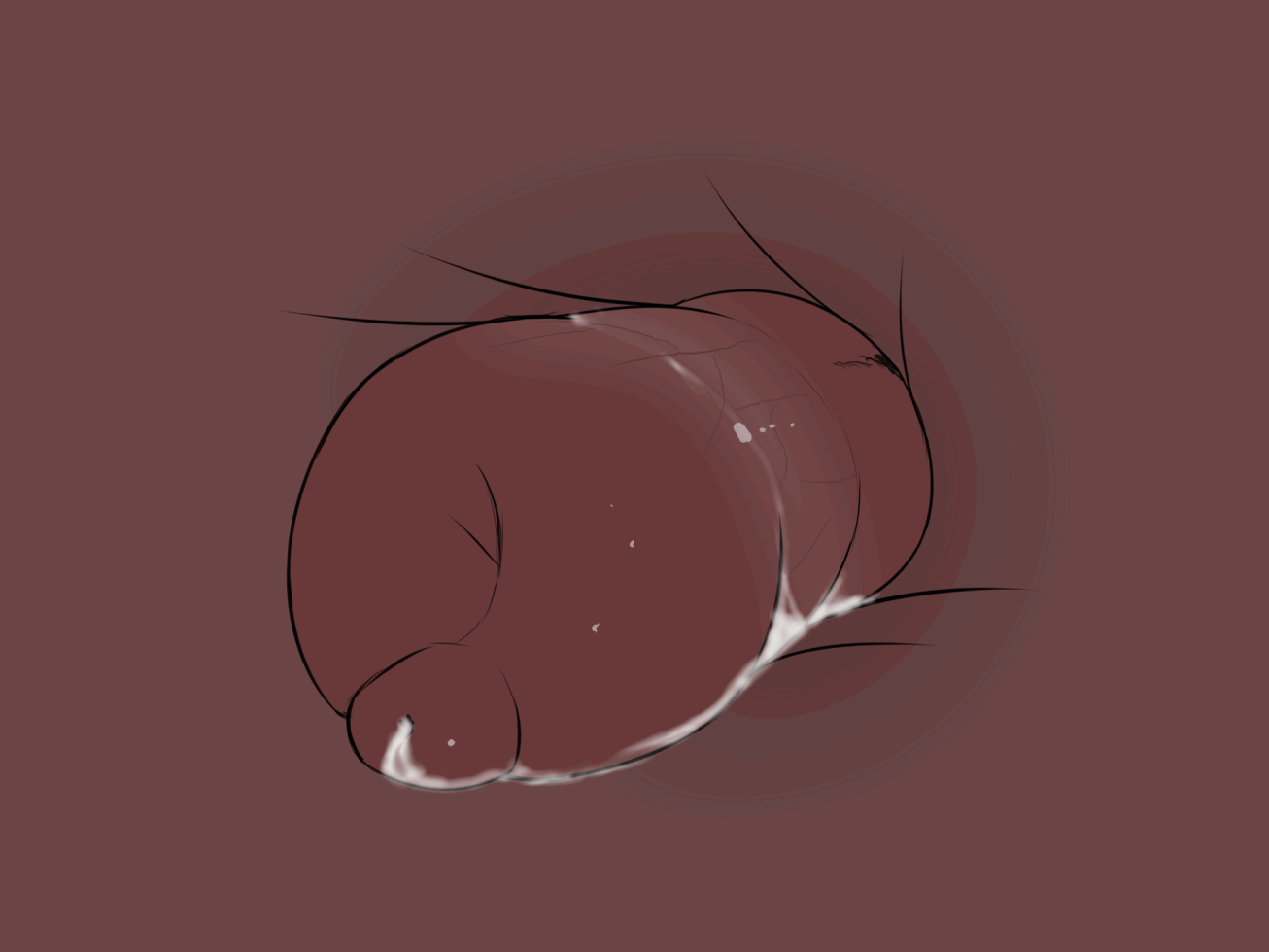 4562338_OnyKR_inside2.gif