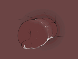4562338_OnyKR_inside2.gif