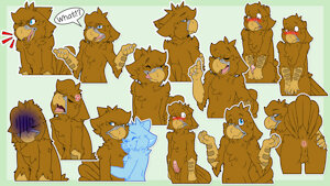 [C] Birb Stickers
