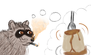 raccoon wants flan