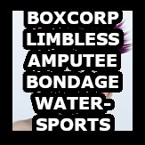Boxcorp - Customer Satisfaction (art)