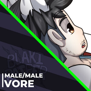 4573220_BlakiRaiper_incomacrocommission1_a.png