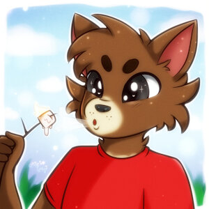 4573441_CloudHusky_nate_hawthorne_-_camping.jpg