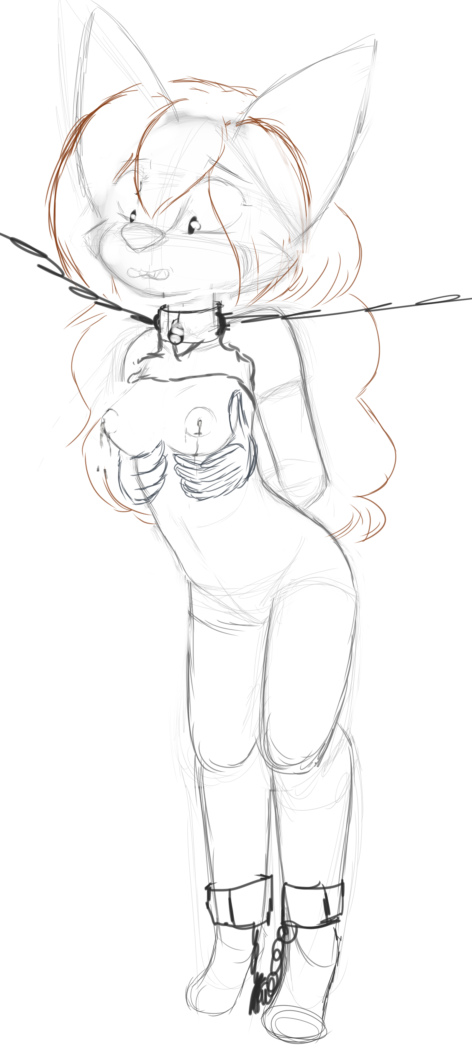 4573894_Smolfoks_rangermilk6.png