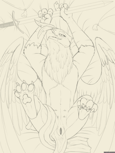 Gilda Griffon Sketches