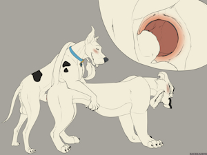 Lions, Dogs, and Dragons, oh my!