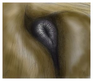 sniff the anus (coloring by malicorne)
