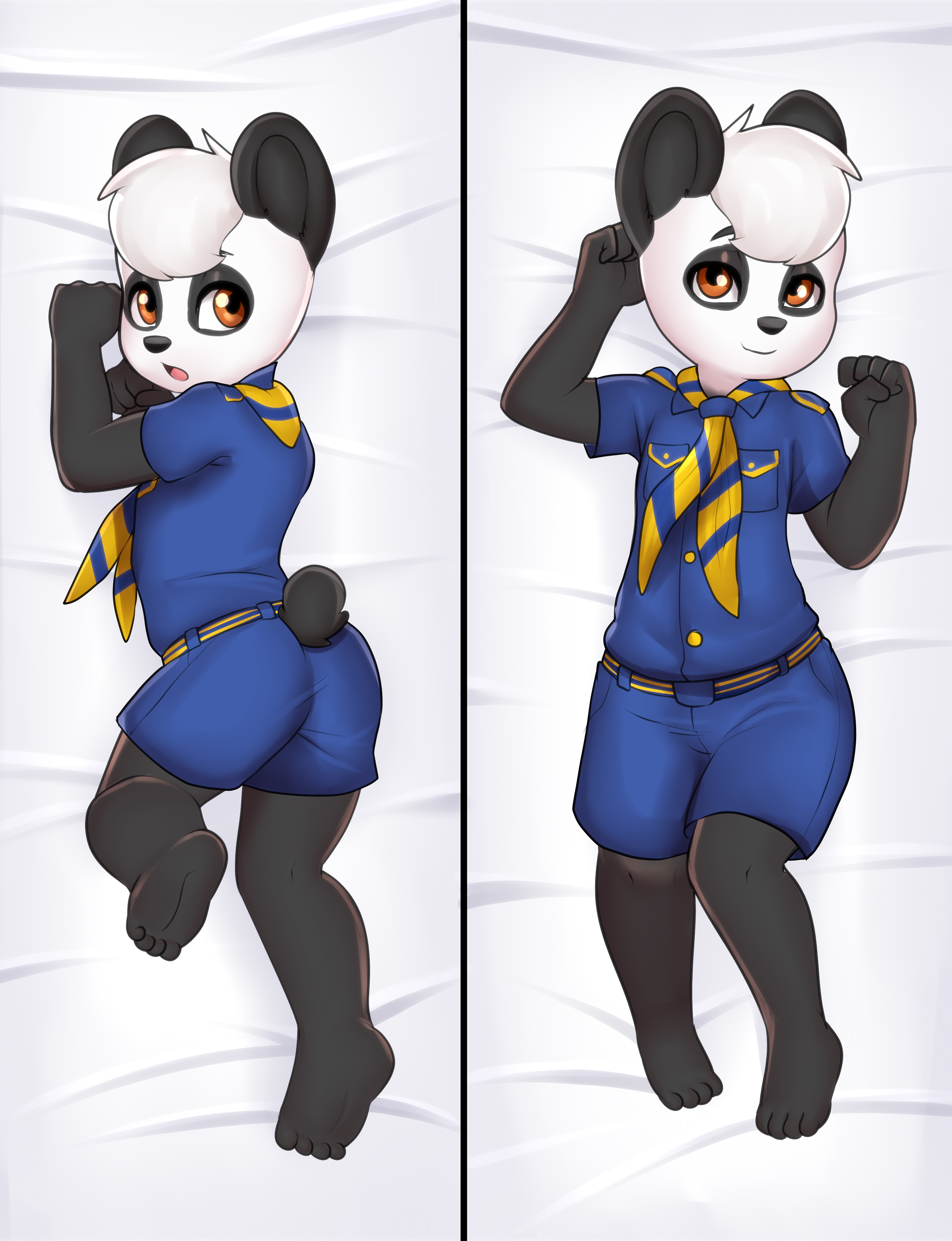 4585036_HardyBoy_arctospanda_2.jpg