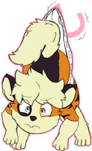 Rethex wedgie