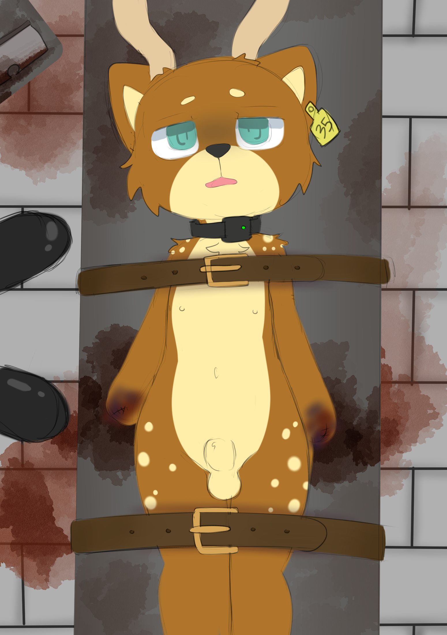 4587465_CubCore_0711-2.png