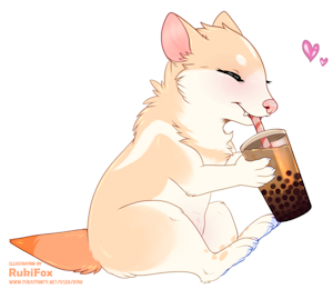 Art Fight - Shurya