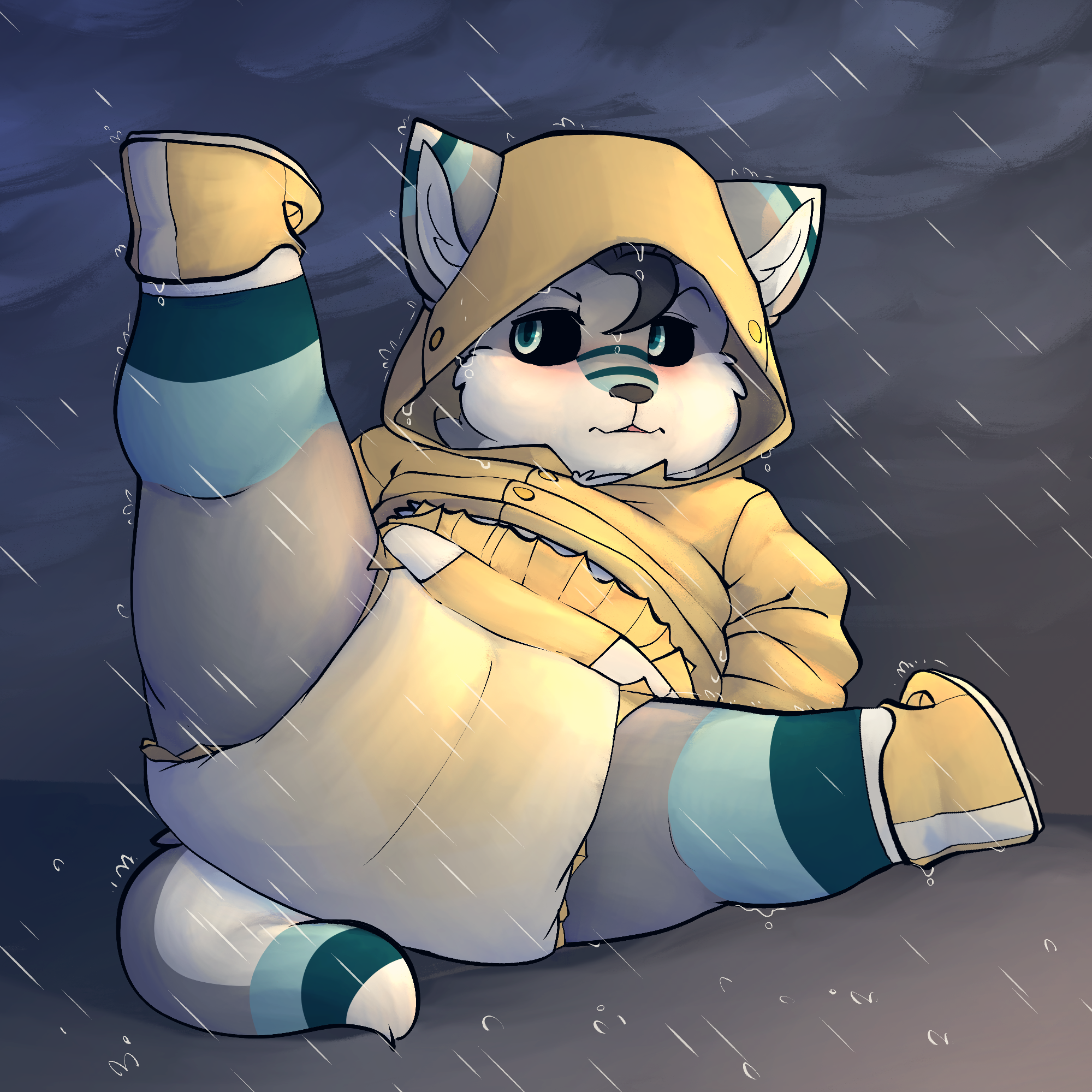 4591641_Battler_eisa_raincoat_wet_no_text.png