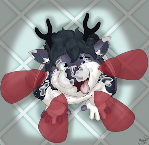 4593163_MoroniLeon_gavin.png