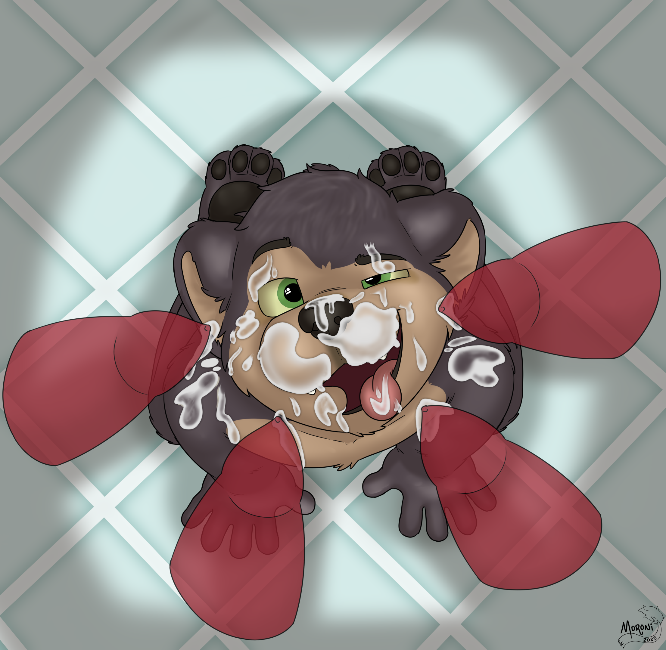 4593165_MoroniLeon_grizzly_bear.png