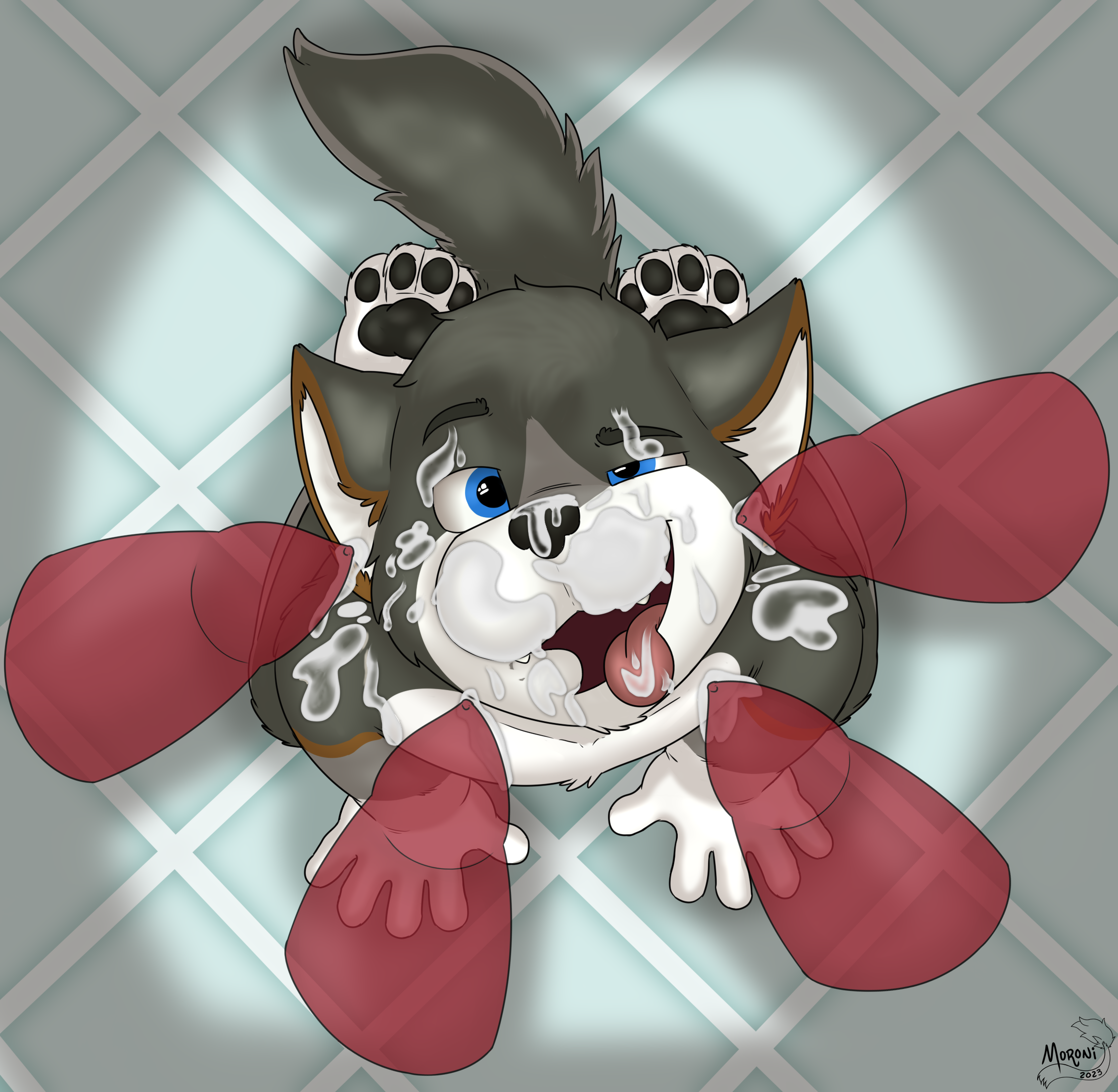 4593179_MoroniLeon_red_rocket.png