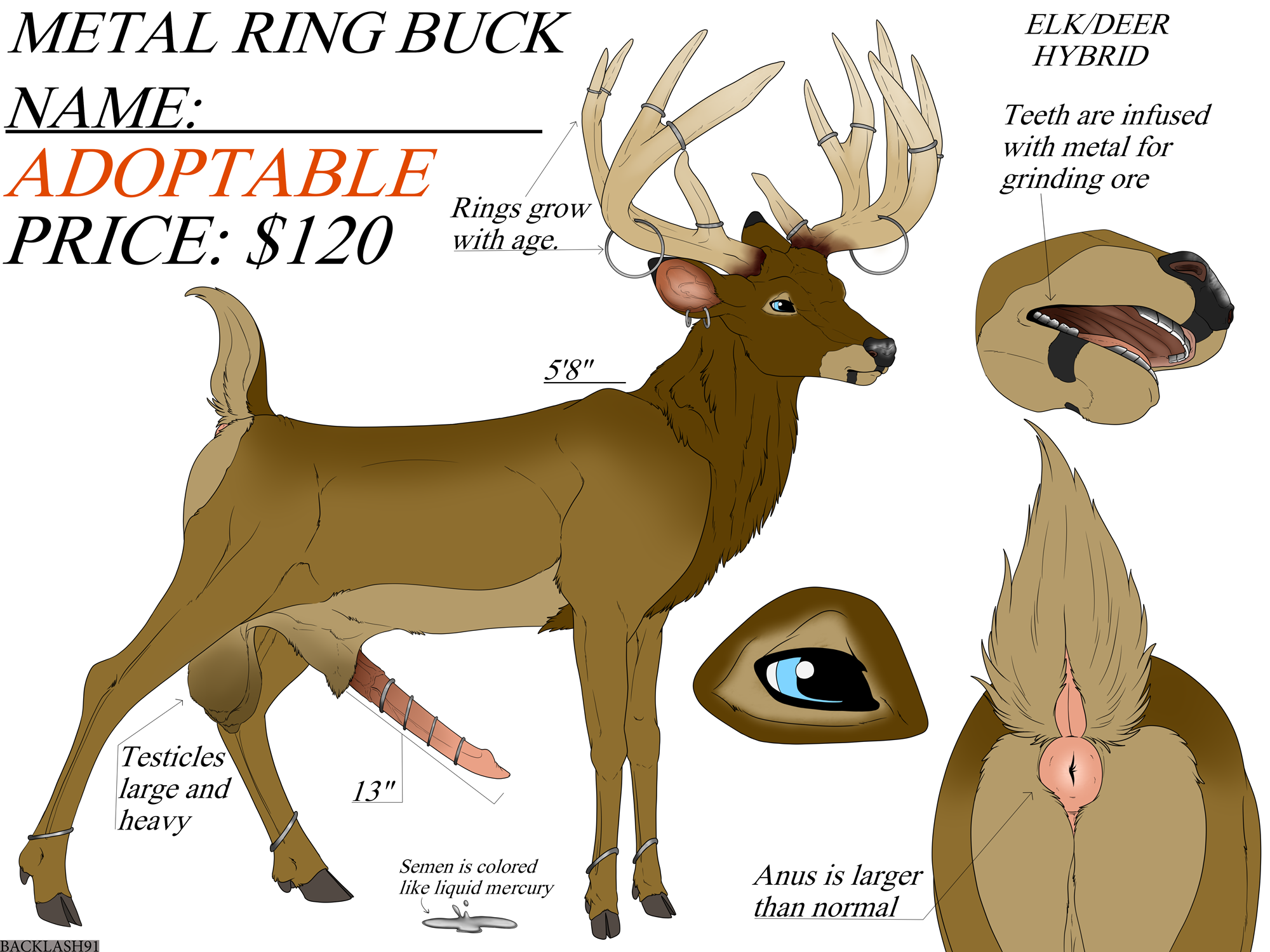 4597545_Backlash91_deer_elk_adopt.png