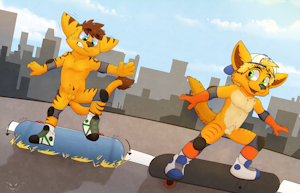 Skateboard Lessons!
