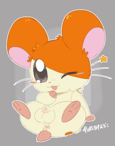 hamtaro sheath
