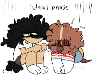 pmdd