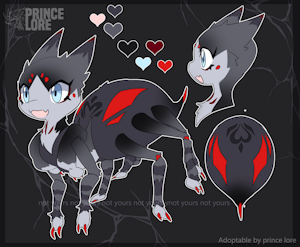 black spider adoptable