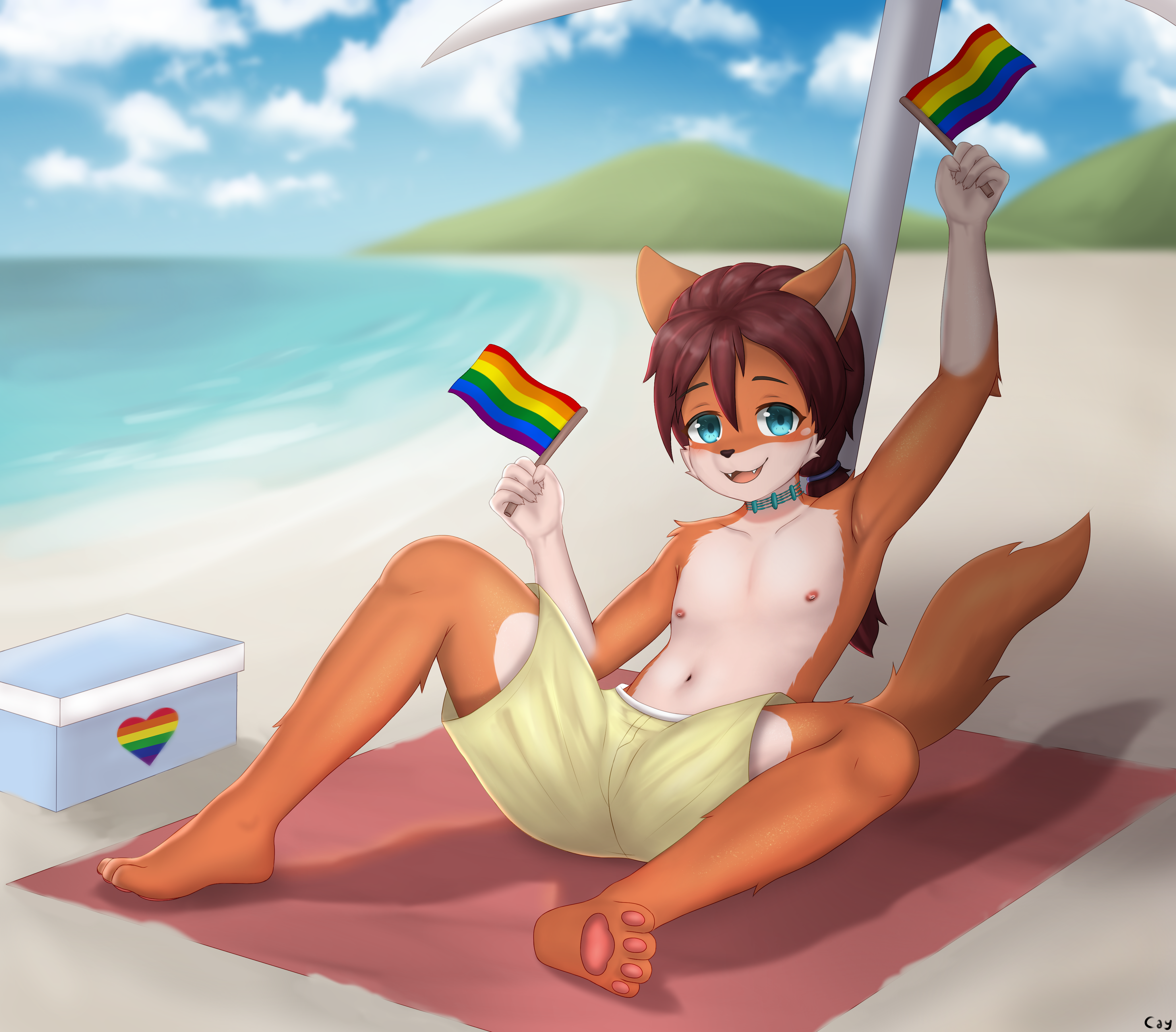 4611379_caylleen_summer_pride_chaska_pants.png