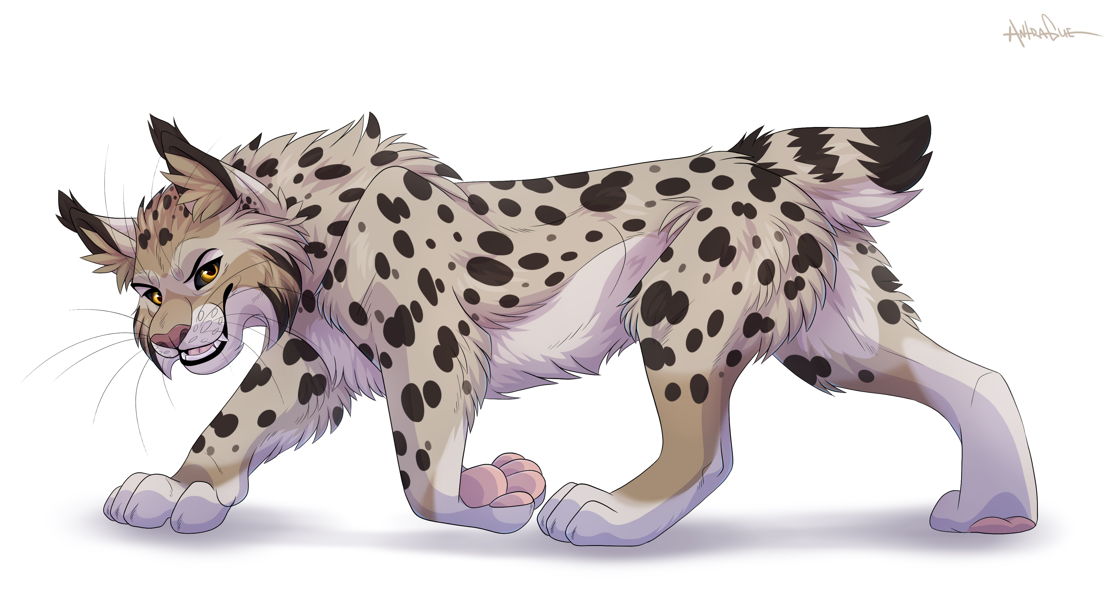 4605121_Nightdancer_prowling-zaire.jpg