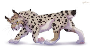 prowling Zaire - by Antrage