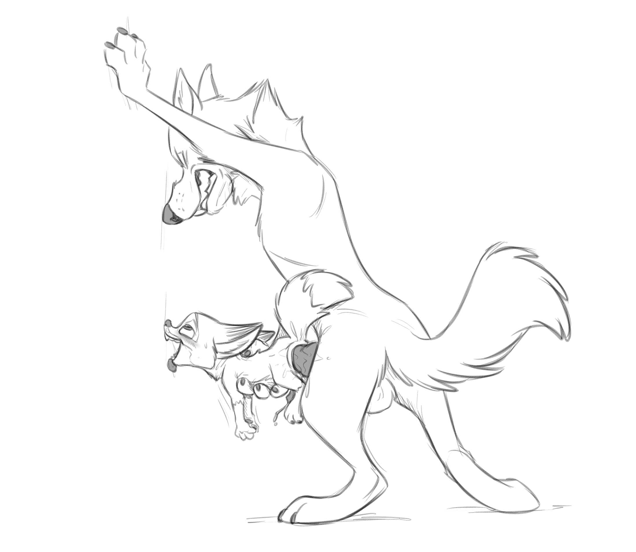 4605227_TheGiantHamster_wolf_nick_sm.png