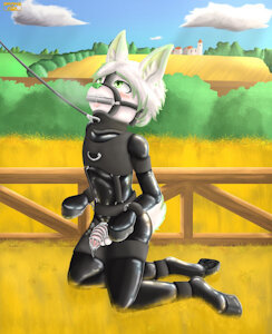 Pony Bunny