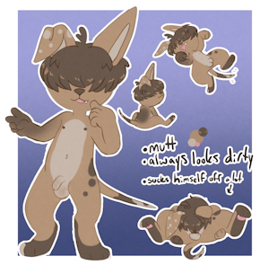 Dirty Dog Adopt