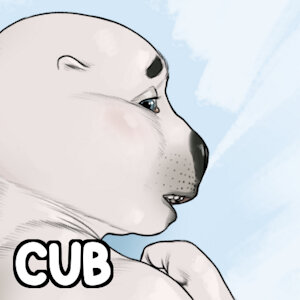 Anon seal brothers