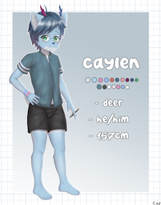 new durrsona x3