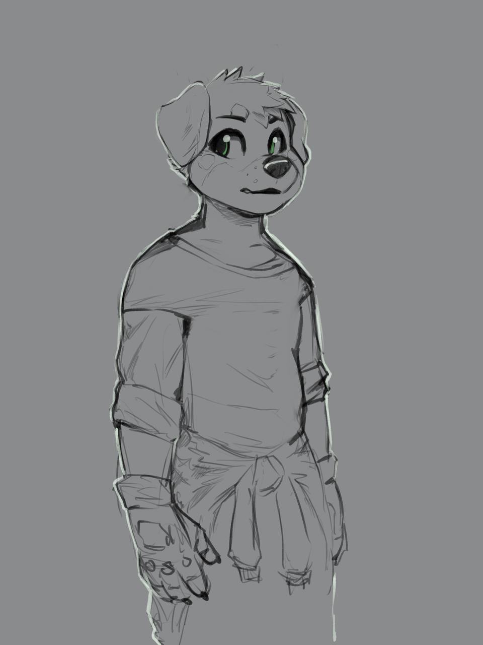 4621392_BastionShadowpaw_ignis_-_young_boxer.jpg