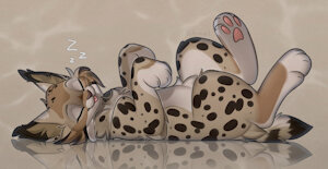 Sleepy cat - by Izabella