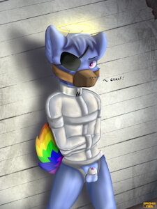 1541Husky's arrest