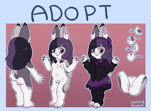 Collab Adopt Auction