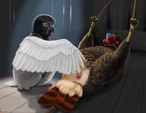 Randy Rango Hawk