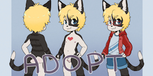 Collab Adopt