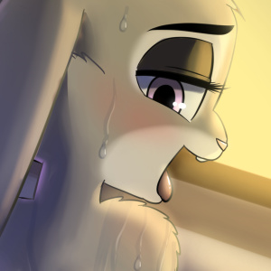 Judy's Bath Request