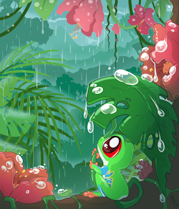 Rainy forest