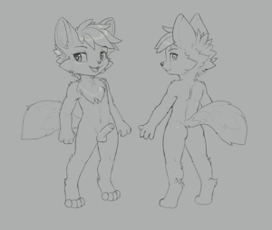 Smoll Version