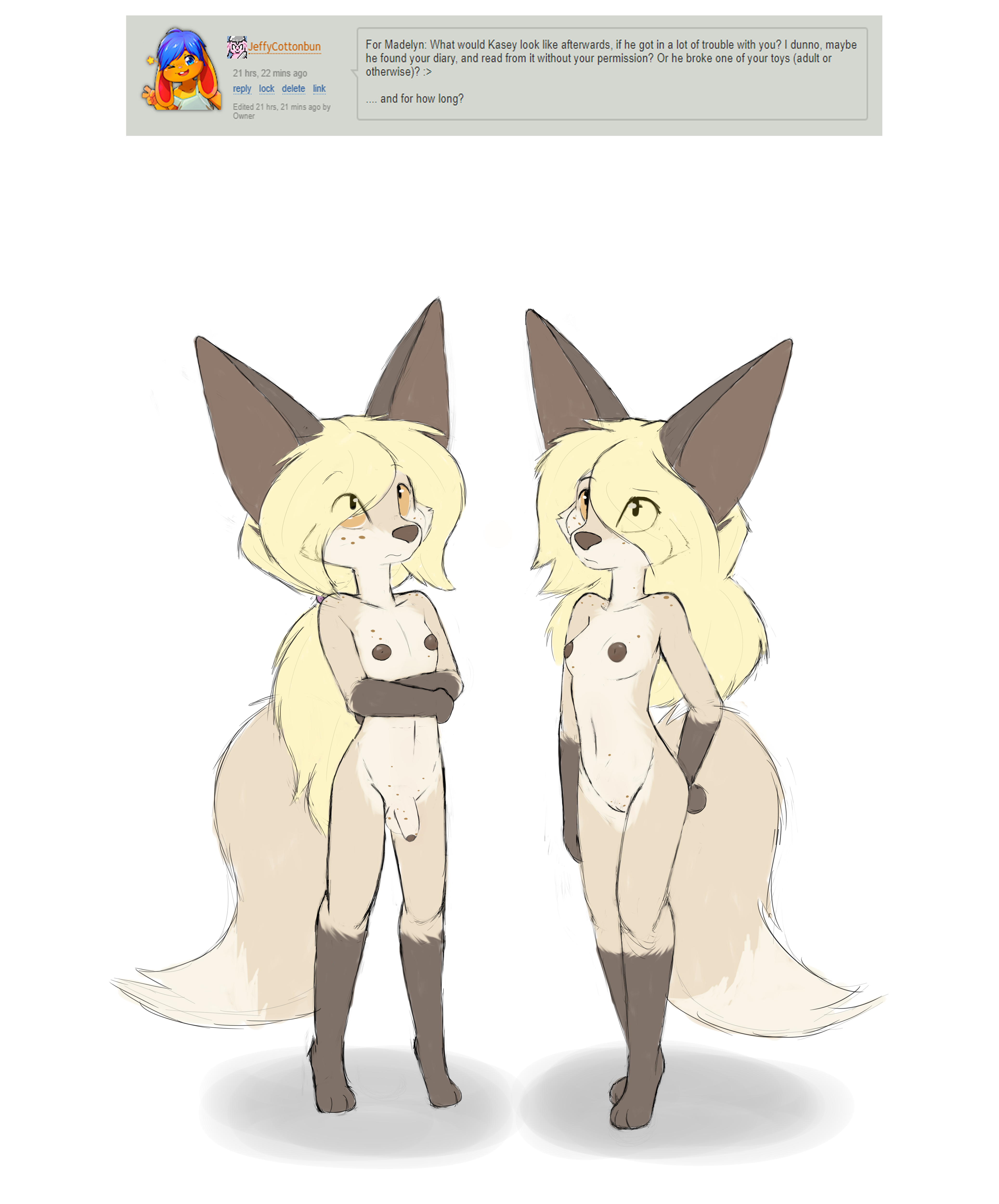4645228_Smolfoks_ask2a.png